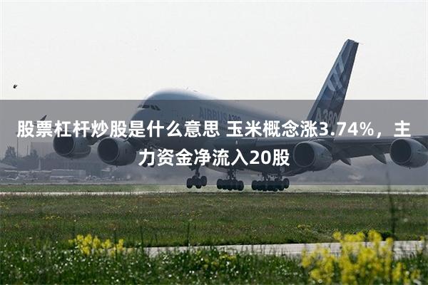 股票杠杆炒股是什么意思 玉米概念涨3.74%，主力资金净流入20股