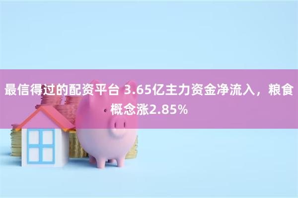 最信得过的配资平台 3.65亿主力资金净流入，粮食概念涨2.85%