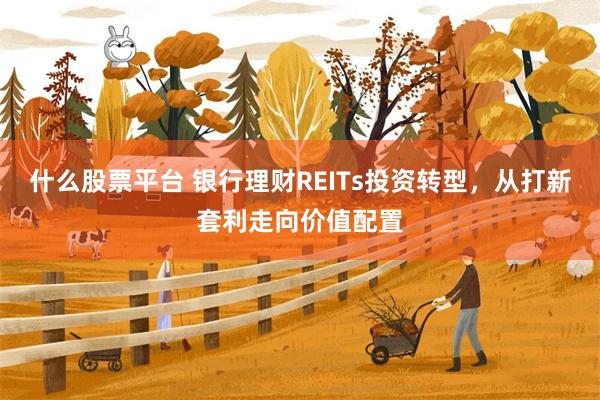 什么股票平台 银行理财REITs投资转型，从打新套利走向价值配置