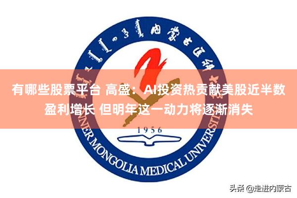 有哪些股票平台 高盛：AI投资热贡献美股近半数盈利增长 但明年这一动力将逐渐消失