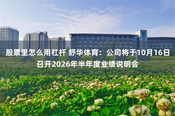 股票里怎么用杠杆 舒华体育：公司将于10月16日召开2026年半年度业绩说明会