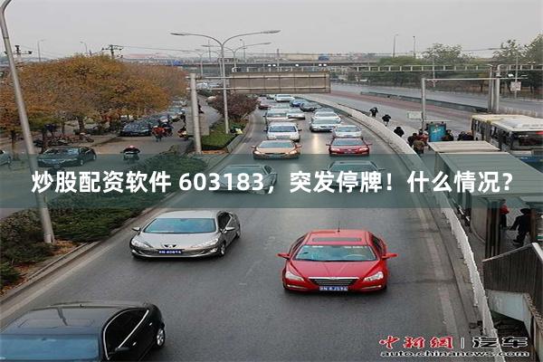 炒股配资软件 603183，突发停牌！什么情况？