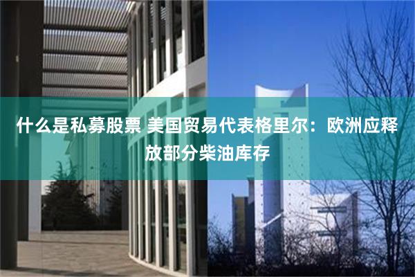 什么是私募股票 美国贸易代表格里尔：欧洲应释放部分柴油库存