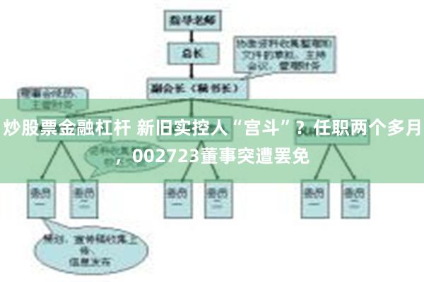 炒股票金融杠杆 新旧实控人“宫斗”？任职两个多月，002723董事突遭罢免