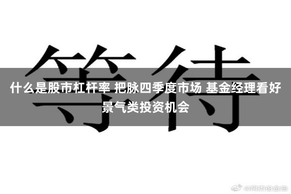 什么是股市杠杆率 把脉四季度市场 基金经理看好景气类投资机会