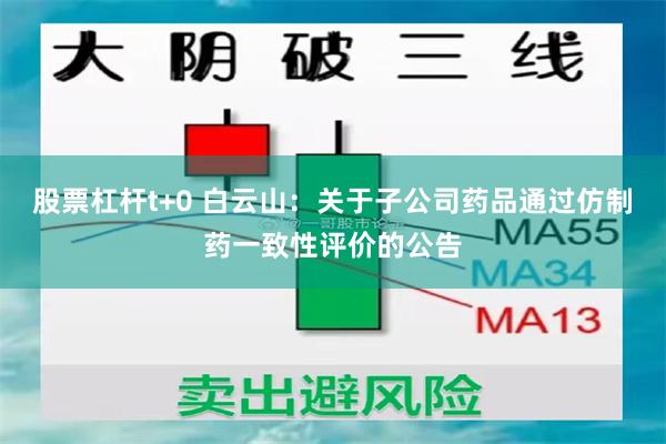 股票杠杆t+0 白云山：关于子公司药品通过仿制药一致性评价的公告