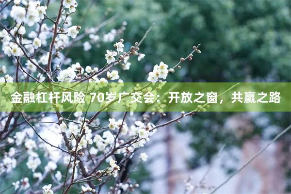 金融杠杆风险 70岁广交会:开放之窗,共赢之路
